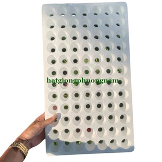 Khay Ươm Hạt - Khay Xốp Phương Nam Gieo Hạt 84 - 112 - 209 Lỗ