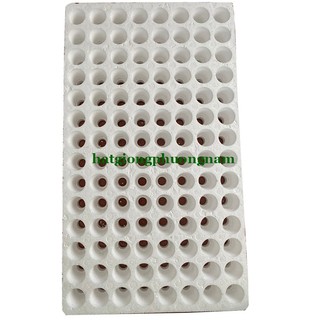 Khay Ươm Hạt - Khay Xốp Phương Nam Gieo Hạt 84 - 112 - 209 Lỗ