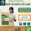 Trà Búp ổi Giảo cổ lam- DIỆP CHI- Giúp ổn định đường huyết và huyết áp, giảm cân an toàn- 30 túi lọc