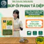 Trà Búp ổi phan tả diệp túi lọc- DIỆP CHI- detox, nhuậntràng, táobón, giảmcân, tiêuchảy- TÚI 30 lọc