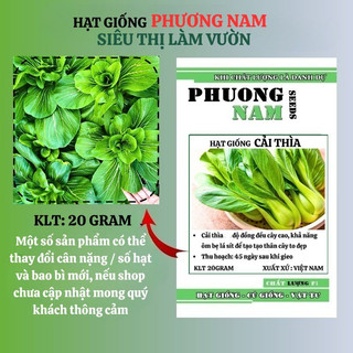 20 Gram - Hạt Giống Cải Thìa Phương Nam