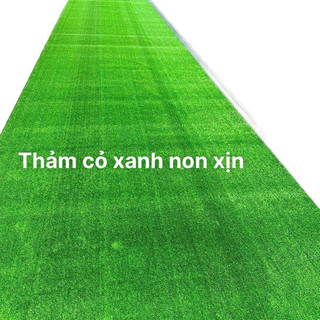Combo 24m2 (2m *12m) Thảm cỏ nhân tạo 1cm xanh non xịn