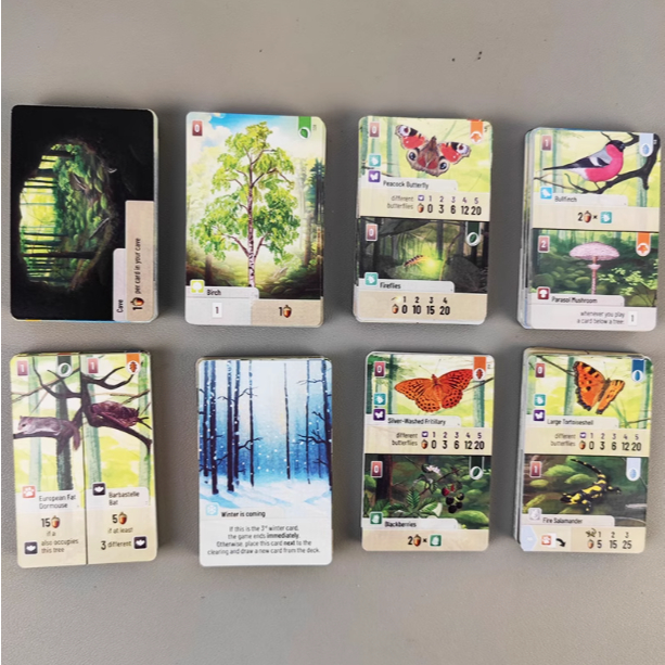 [Luật Việt] Boardgame Forest Shuffle Quản Lý Rừng Cây 3-5889
