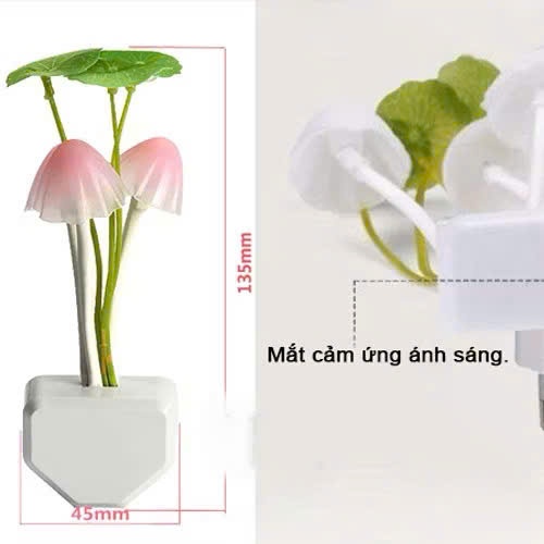 Đèn ngủ cây nấm – Phụ kiện trang trí và chiếu sáng tiện ích