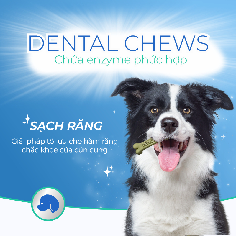 Xương Gặm Vệ Sinh Răng Miệng Cho Chó DrVET Giúp Giảm Cao Răng, Sạch Kẽ - Dental Chew (for dogs)