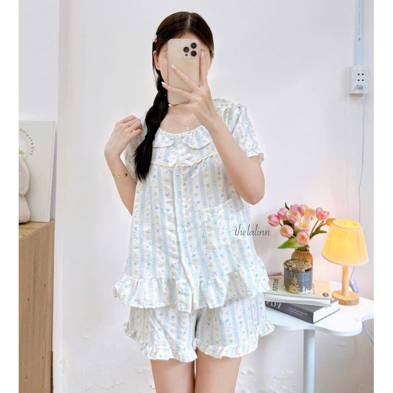 Bèo gấu sọc xanh