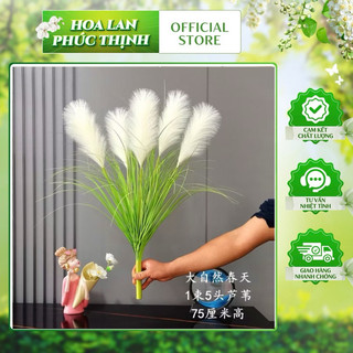 Hoa Cỏ Lau 5 bông cao 90cm cắm lọ hoa để bàn, Hoa Cỏ Lau trang trí phòng khách - Hoa lụa cao cấp