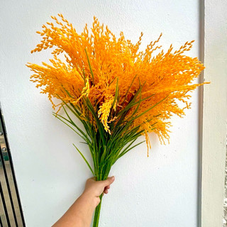 Combo Lúa Nếp Chín Vàng ( GIÁ KHỒNG KÈM BÌNH ).Một  Cành 7 Chùm Bông, Lá, Hạt To Chắc Mẩy, Trang Trí Decor Xinh, Quá đep