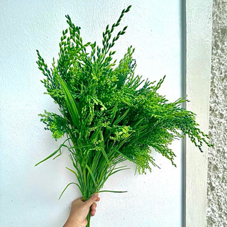 Combo Lúa Nếp Chín Vàng ( GIÁ KHỒNG KÈM BÌNH ).Một  Cành 7 Chùm Bông, Lá, Hạt To Chắc Mẩy, Trang Trí Decor Xinh, Quá đep