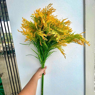 Combo Lúa Nếp Chín Vàng ( GIÁ KHỒNG KÈM BÌNH ).Một  Cành 7 Chùm Bông, Lá, Hạt To Chắc Mẩy, Trang Trí Decor Xinh, Quá đep