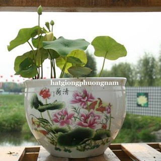 200 Gram - Bùn Trồng Sen Phương Nam Phù Hợp Cây Thủy Sinh Ngập Nước ,Cho Hoa To , Lâu Tàn