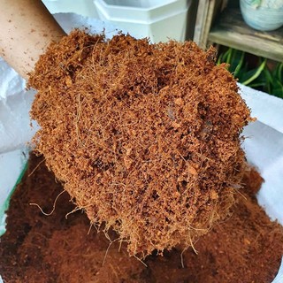 2 Kg - Mụn Xơ Dừa Trồng Cây Phương Nam - Trồng Rau Mầm, Ươm Hạt Giống, Đã Qua Xử Lý