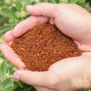 2 Kg - Mụn Xơ Dừa Trồng Cây Phương Nam - Trồng Rau Mầm, Ươm Hạt Giống, Đã Qua Xử Lý