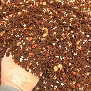 3 Kg - Đất Trồng Sen Đá Phương Nam - Trộn Sẵn, 85% Đá Khoáng, Lên Màu, Thoát Nước Tốt