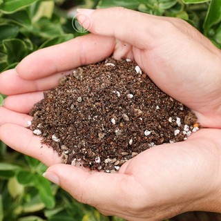 3 Kg - Đất Trồng Sen Đá Phương Nam - Trộn Sẵn, 85% Đá Khoáng, Lên Màu, Thoát Nước Tốt