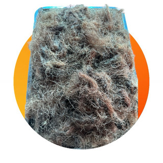 Râu Ngô Khô Quê Nhặt Sạch – Phơi Nắng Tự Nhiên – Túi Hút Chân Không 500g – Thanh Nhiệt, Mát Gan, Lợi Tiểu