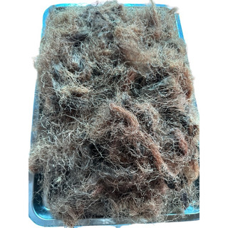 Râu Ngô Khô Quê Nhặt Sạch – Phơi Nắng Tự Nhiên – Túi Hút Chân Không 500g – Thanh Nhiệt, Mát Gan, Lợi Tiểu