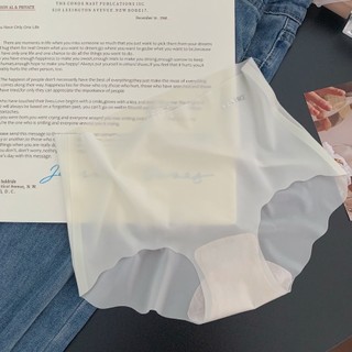 Quần lót (Q9)- Quần su lưng cao không viền đủ màu