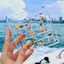 Hộp trưng bày,lưu trữ vỏ sò nhựa acrylic