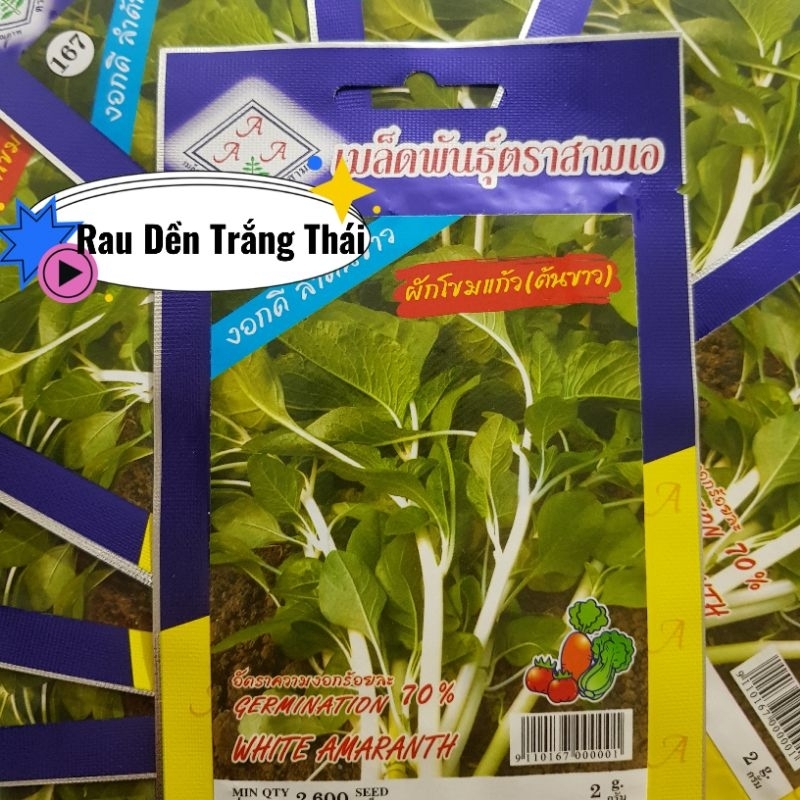Hạt Giống Rau Dền Trắng💞 Ăn Ngon Nhập Khẩu Nguyên Gói Thái Lan Chất Lượng Cao