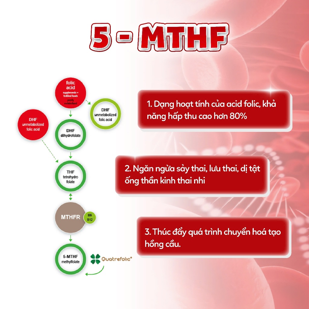 [✨QUÀ XỊN] Sắt Bầu IMOCHILD LIPOFERON Bổ Sung Sắt Hữu Cơ Liposome Không Táo Bón Không Tanh Vị Chanh Cho Bà Bầu Thiếu Sắt