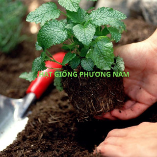 1 Kg - Đất Sạch Trồng Cây Phương Nam, Tiện Lợi, Đầy Đủ Dinh Dưỡng Cho Rau, Củ