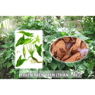 Thiên Niên Kiện Khô Hỗ Trợ Sức Khoẻ Xương Khớp Thương Hiệu Lá Ngọc Gói 1kg