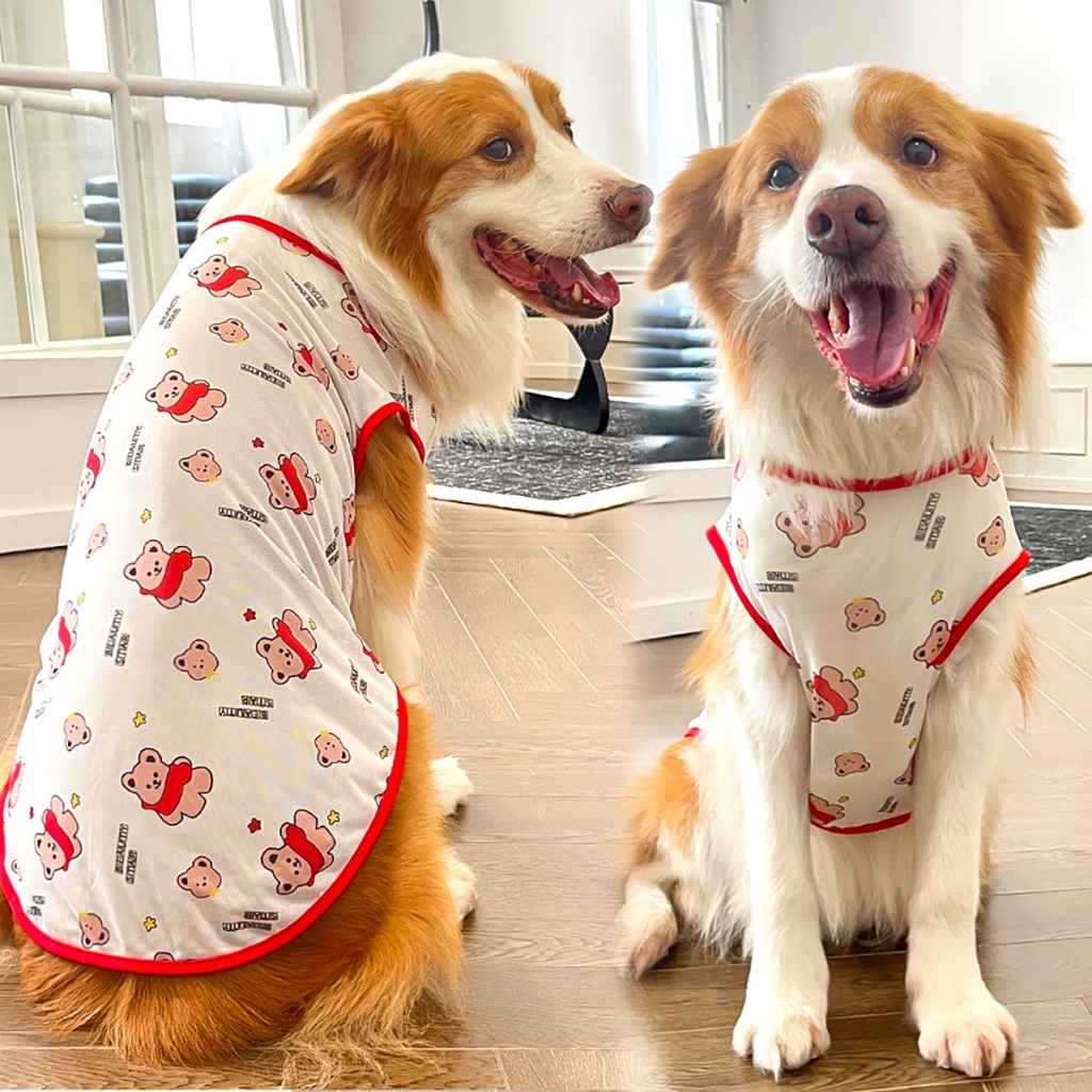 Quần Áo Thú Cưng Thời Trang Cho Chó Đực Mèo Poodle Phốc Sóc Mùa Đông Size Lớn Họa Tiết Hài Hước Đà Nẵng Hà Nội Sài Gòn