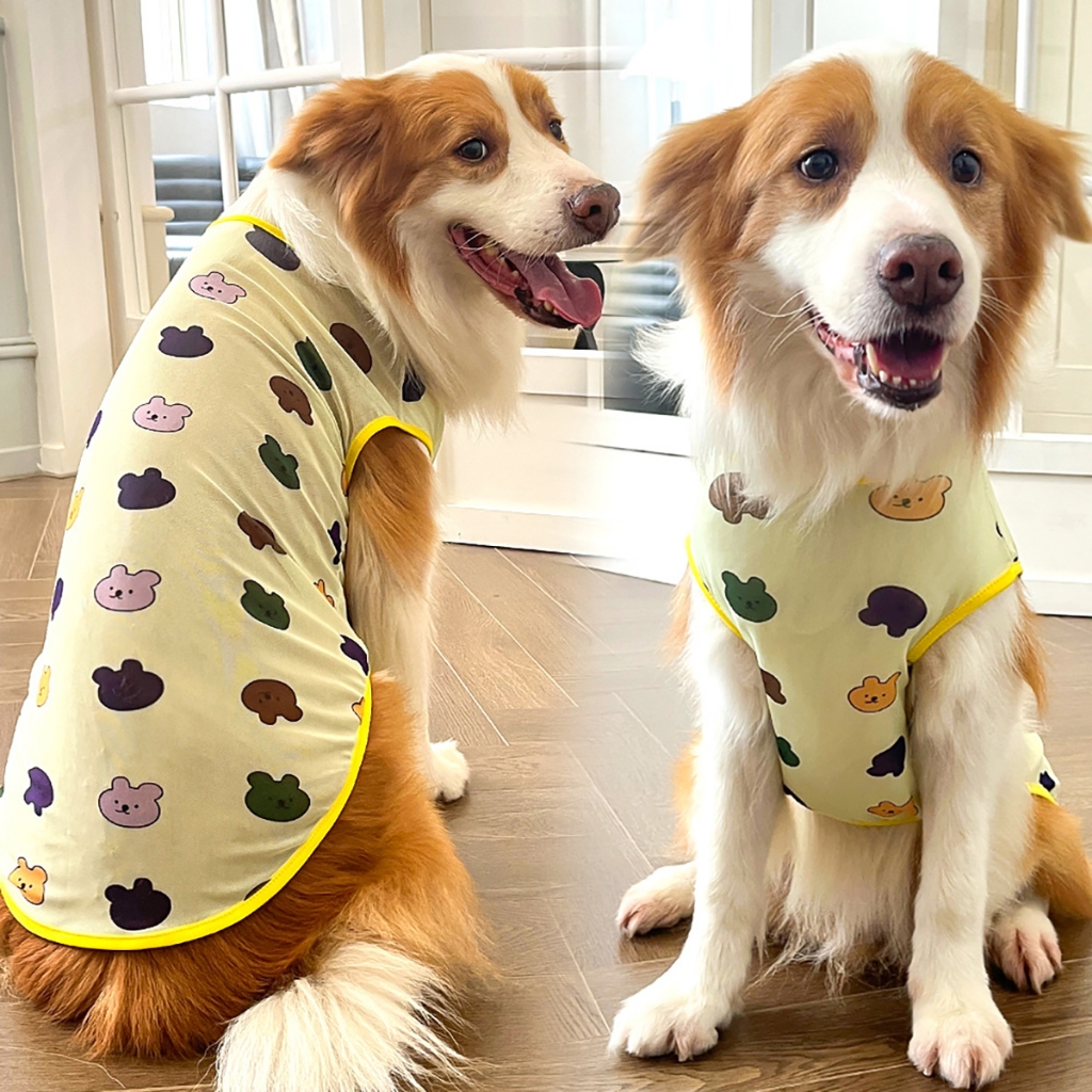 Quần Áo Thú Cưng Thời Trang Cho Chó Đực Mèo Poodle Phốc Sóc Mùa Đông Size Lớn Họa Tiết Hài Hước Đà Nẵng Hà Nội Sài Gòn