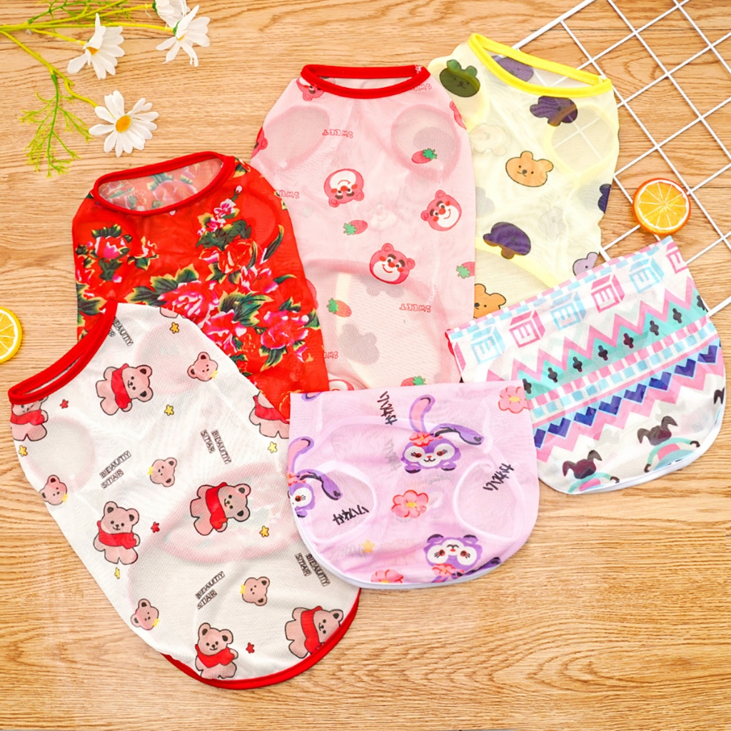 Quần Áo Thú Cưng Thời Trang Cho Chó Đực Mèo Poodle Phốc Sóc Mùa Đông Size Lớn Họa Tiết Hài Hước Đà Nẵng Hà Nội Sài Gòn