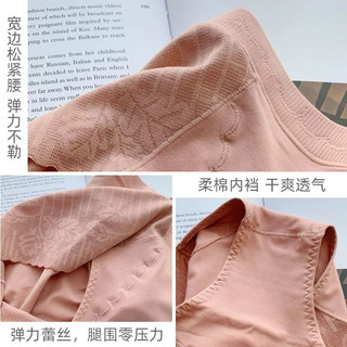 Set 5 quần cạp cao trung dành cho nữ chất liệu cotton mềm mại thấm hút mồ hôi
