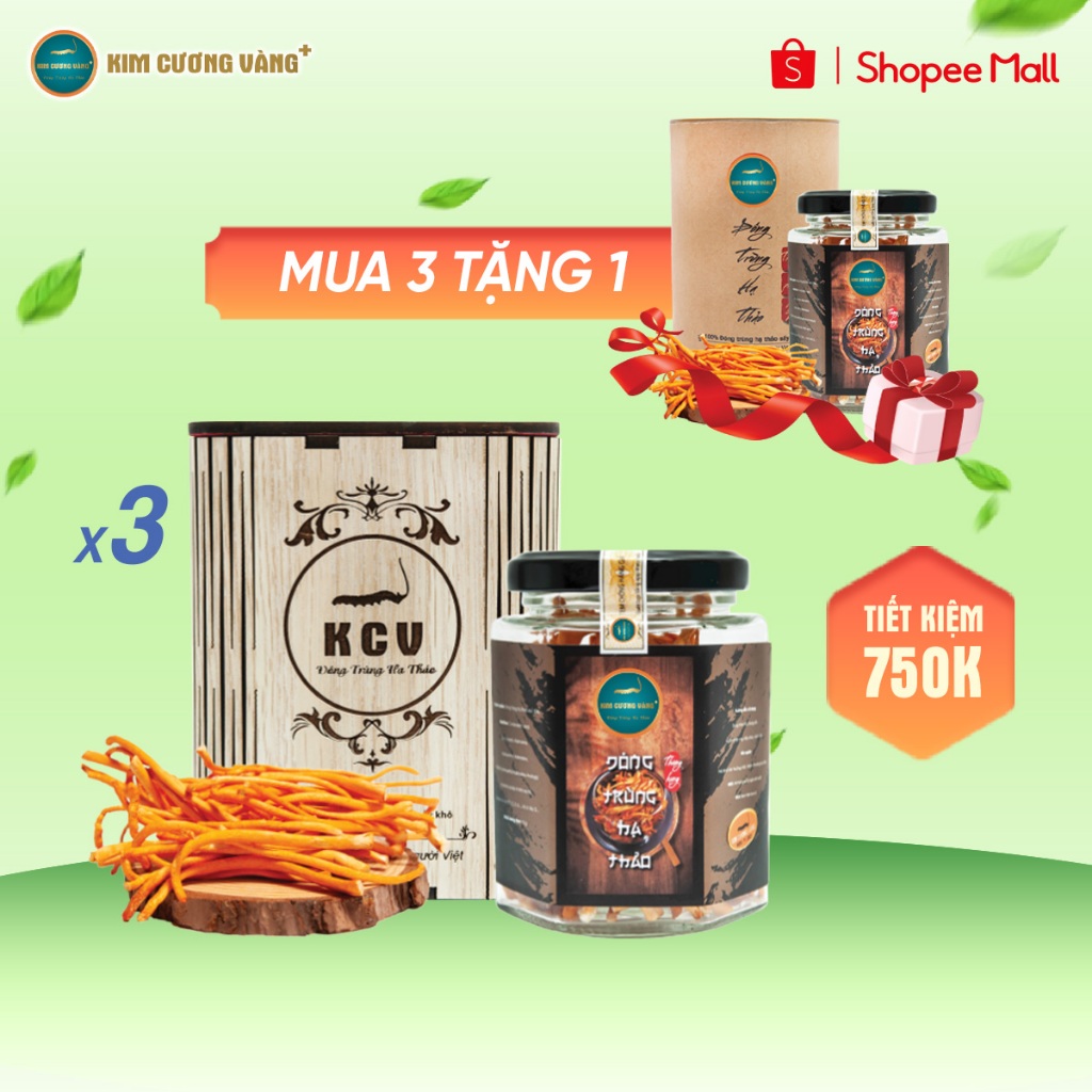 Ảnh Combo 3 Tặng 1 Đông Trùng Hạ Thảo Khô Kim Cương Vàng Tăng Cường Đề Kháng (10Gr/Hộp Gỗ) 1