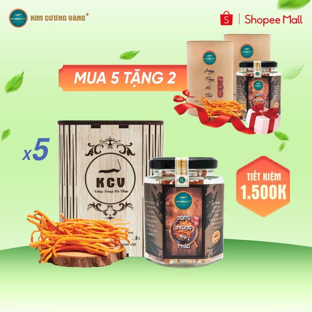 Ảnh Đông Trùng Hạ Thảo Khô Tăng Đề Kháng Kim Cương Vàng Giảm Mệt Mõi Ngủ Ngon Chính Hãng Hộp 10 Gramm 4