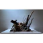 Layout Biotope, Blackwater Setup Sẵn | Làm Layout Theo Yêu Cầu