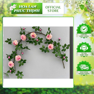 Dây Hoa Hồng Pháp cổ dài 1,7 m, gồm 7 hoa, 8 nụ. Thân rêu giống thật, hàng cao cấp (1 dây kèm 2 ghim móc và dây thắt)