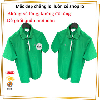 Áo Polo Nam Màu Xanh Lá – Chất Vải Mềm Mịn, Dáng Đẹp, Thoáng Mát Mùa Hè