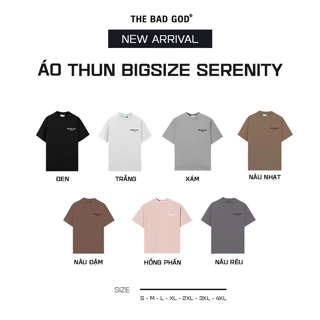 Áo Thun Big Size Cổ Tròn Nam Nữ The Bad God Serenity Back To School Form Boxy Cotton Syn In Silicon Local Brand Áo Phông
