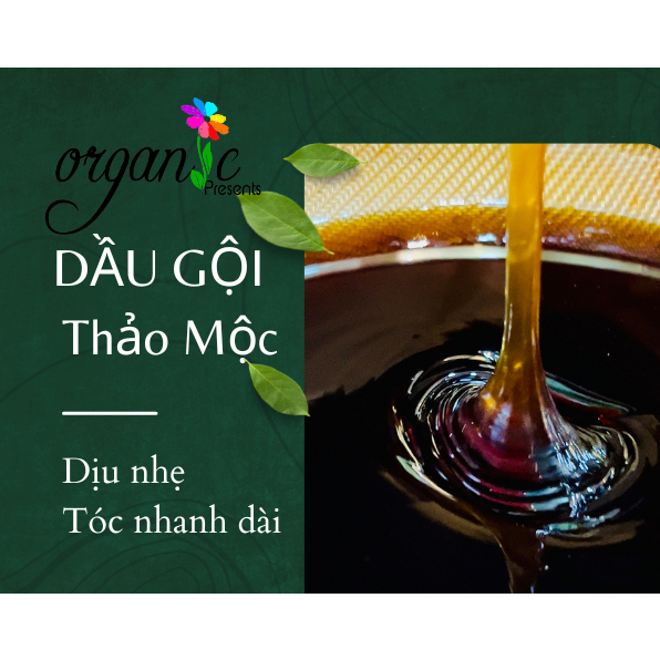 DẦU GỘI THẢO MỘC ORGANIC PREMIUM / PHÔI DẦU GỘI THẢO MỘC (THỂ TRONG)