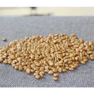 [HĐ 999K TẶNG 1 GÓI 400G] ANF 6FREE+ CAT 1.6KG - Thức ăn hạt khô dinh dưỡng cho mèo nhỏ & mèo lớn