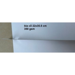 combo 100 cái bìa lưng lót áo sơ mi 22x35.5 cm định lượng 350 gsm