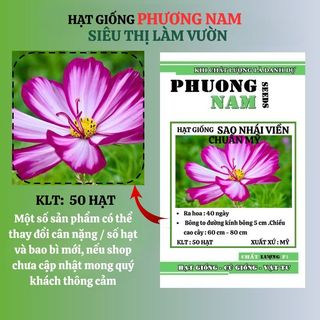 50 Hạt - Hạt Giống Sao Nhái Viền Chuẩn Mỹ Phương Nam