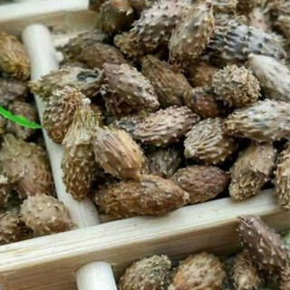 Ké Đầu Ngựa Khô hỗ trợ thanh nhiệt, giảm ngứa, tốt cho tuyến giáp thương hiệu Lá Ngọc gói 500g