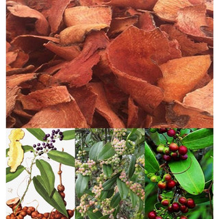 Thổ Phục Linh Đỏ Khô Giúp Điều Hòa Huyết Áp, Tăng Cường Miễn Dịch Thương Hiệu Lá Ngọc gói 500g