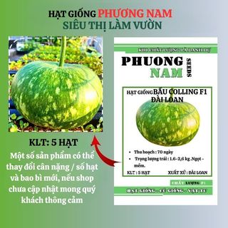 5 Hạt - Hạt Giống Bầu Colling F1 Đài Loan Phương Nam