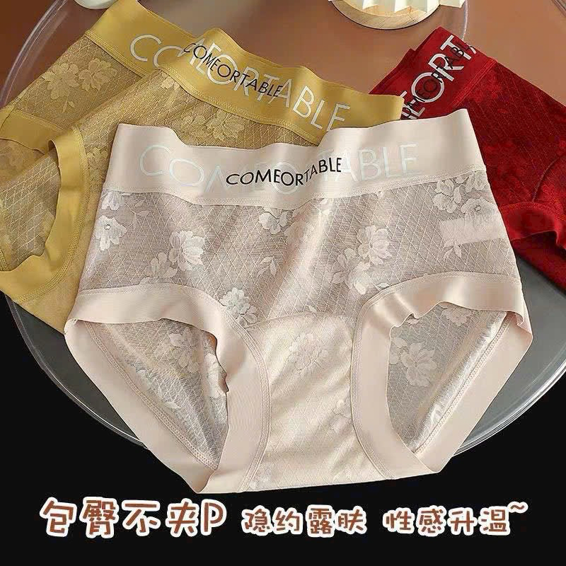 Sét 5 quần lót ren lưới cạp to mẫu mới 874