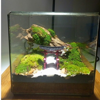 Terrarium set up sẵn " Đinh Sơn Cổ Tự " quà tặng mừng khai trương, sinh nhật, ngày kỉ niệm