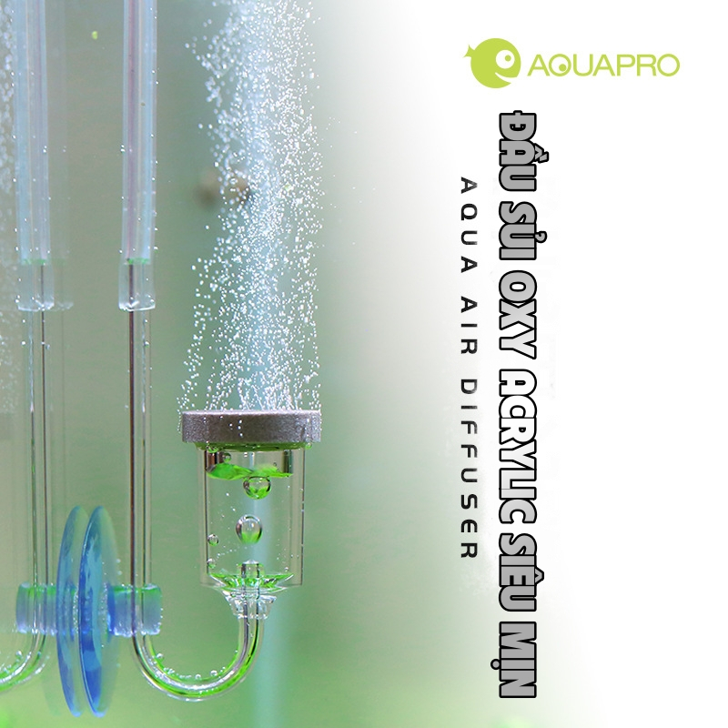 Cốc Sủi / Đầu Sủi Oxy AQUAPRO Air Diffuser | Đầu Sủi Oxy Siêu Mịn Cho ...
