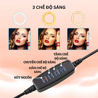 Đèn Livestream 26cm 33cm Kèm Chân 2m1 – Đèn LED 3 Màu Trợ Sáng Quay Video, Bán Hàng Online, Trợ Sáng Makeup