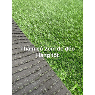Cỏ nhân tạo 2cm tốt, Combo 10-50m vuông, khổ 2m, cỏ đế dẻo dày đẹp, trải sân vườn trường học bền đẹp.