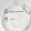 Beauty Of Joseon Dynasty Cream 50ml - Dưỡng Da Chăm Soc, Tinh Đạm, Dành Cho Tất Cả Loại Da